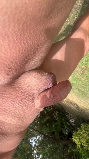 Mon petit pénis rasé