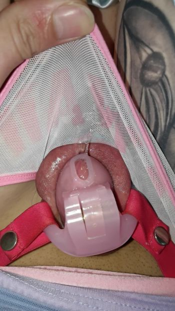 Tiny dick in chastity and soaking wet panties