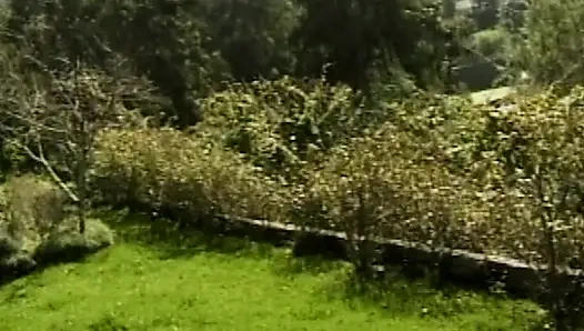 Heiße College-Geständnisse im Freien