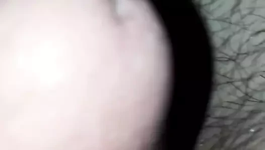 penis
