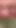 woman with dick fucking pregnant wife | Clip 2