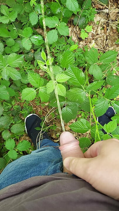 Lelaki kencing di luar dalam hutan