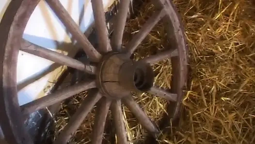 Anal Luxury (full Porn Movie)