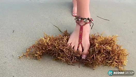 Michelle Honeywell Sandy Toes