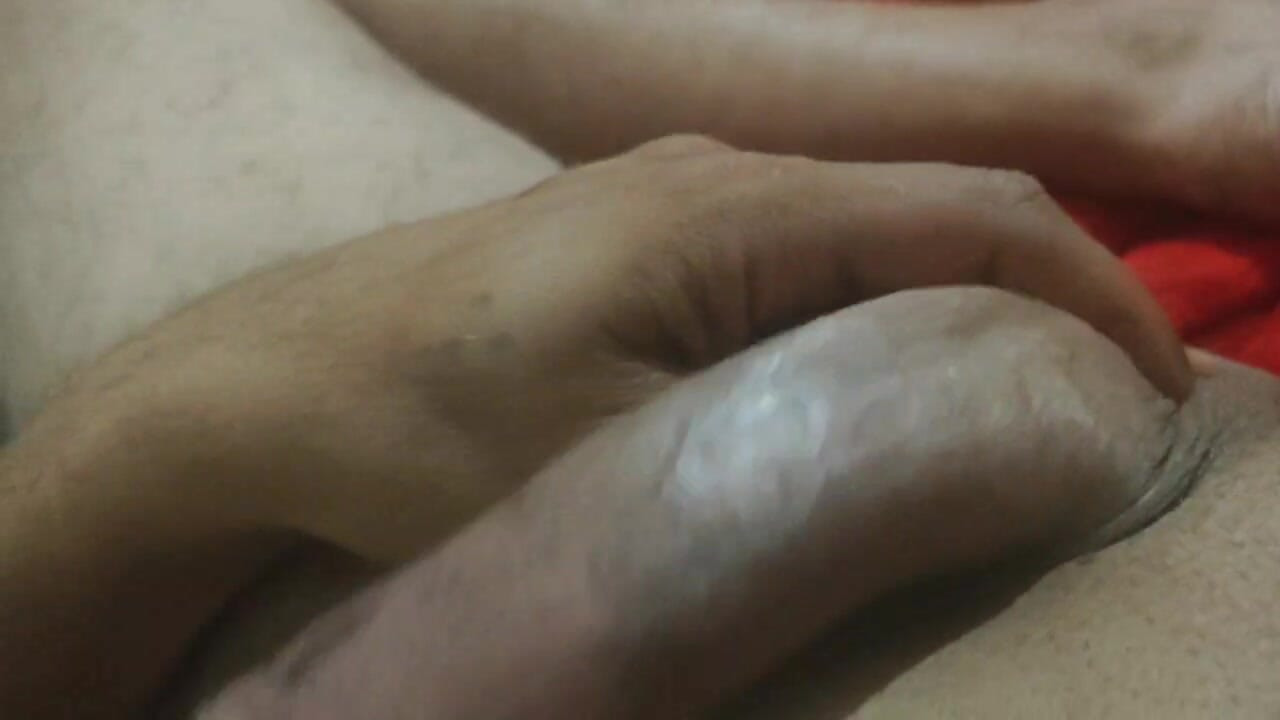 Algerian Cock Gats chikourrkk88