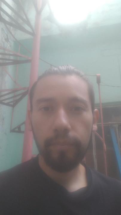 No jardim