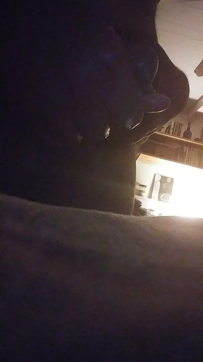 Very late night cum slurp