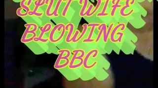 SLOW MOTION OF SLUT WIFE BLOWING BBC