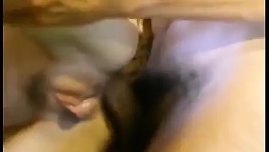 A Nympho Gang-bangued Binoclarde at a Picnic!