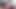 Projektcz Blanche Pornocasting