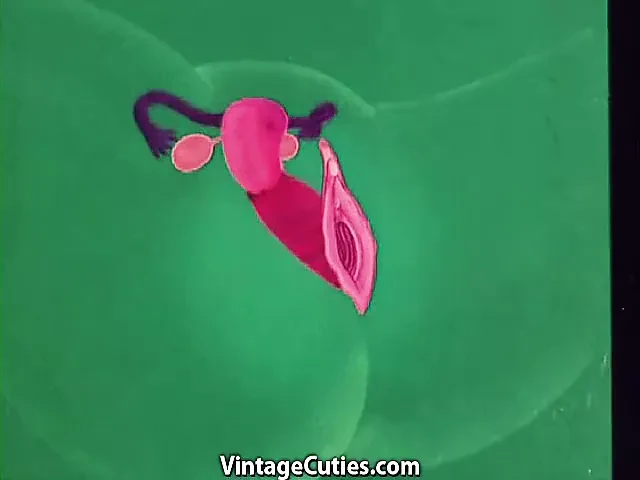 Anatomic Sex in Different Places (1960s Vintage)
