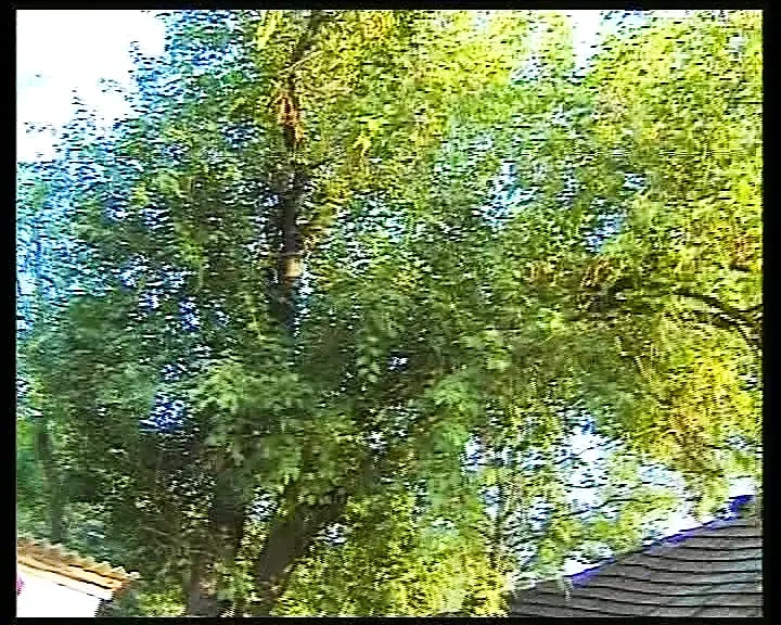 《德国门后》被《勤奋地操》——完整电影