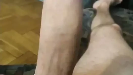 benim Alman büyük horoz