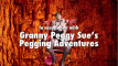 Pregled videozapisa