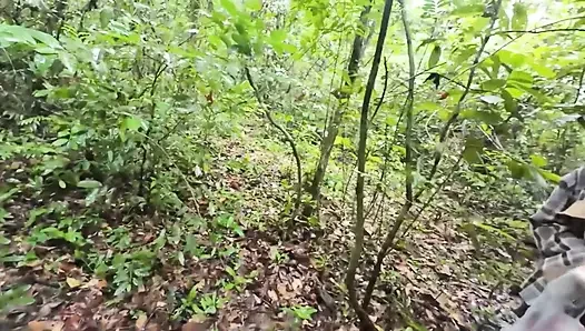 Thai girls walking and talking and picking mushrooms in the forest, secretly showing in the deep forest Clear Thai voice