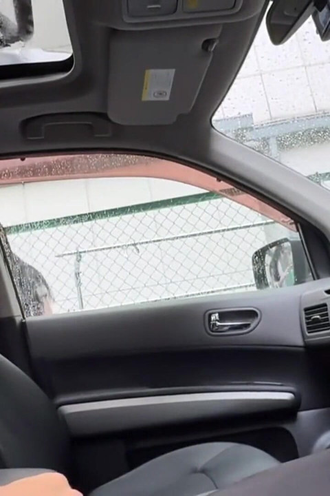 الملاك الآسيوي 28218