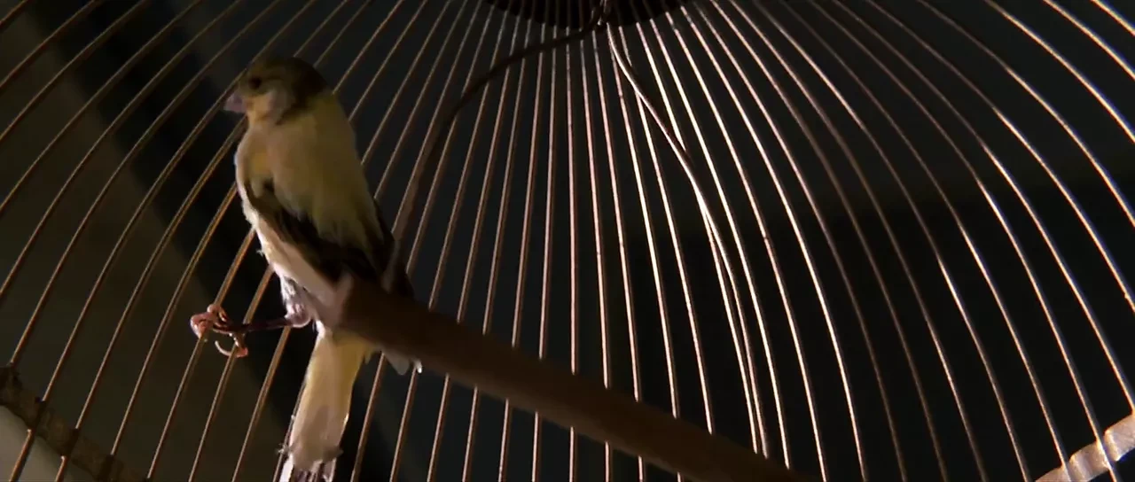 Angelina Jolie - pecado original (2001)