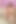 ヘアリー・ファン