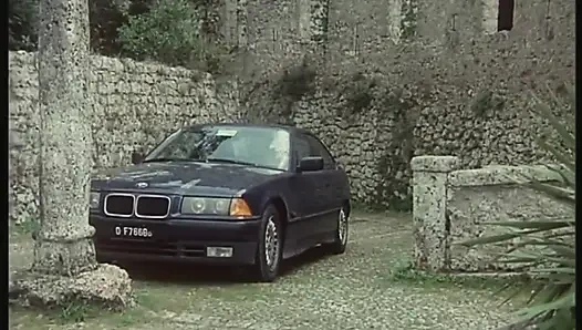 Horozlar asla başarısız olmaz