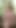 A Black Bull for My Hotwife Part 7 - Interviews