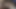 I Fuck Her Beautiful Face, I Cum Inside Her Nostrils and the Cum Comes Out of Her Mouth