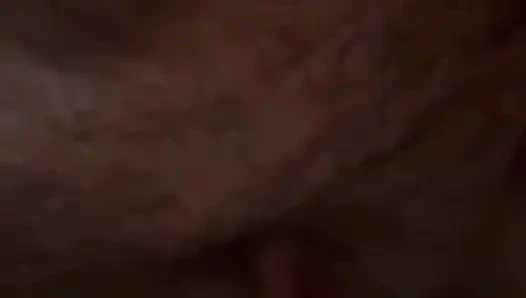 Memek dan pantat basah gemuk