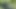 i found a nude teen in the forest