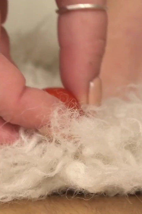 Giantess Sets a Tiny Trap