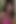 Pembe Bikinili Kırsal Kız 2 Saat Yolculuk Sürüyor Ve Big Stranger Cock tarafından Creampie Almak İçin
