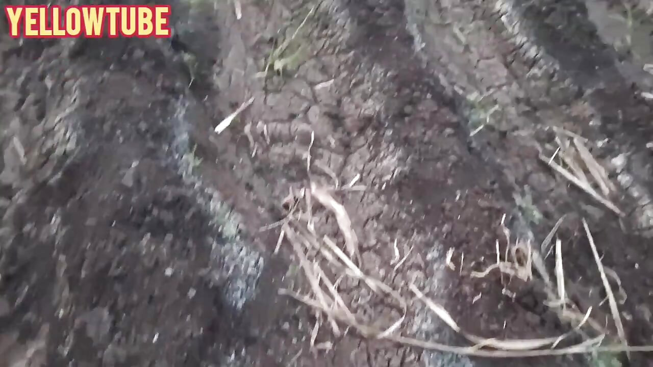 인도 야외 아름다운 야외 재미와 무스티 카마 수트라