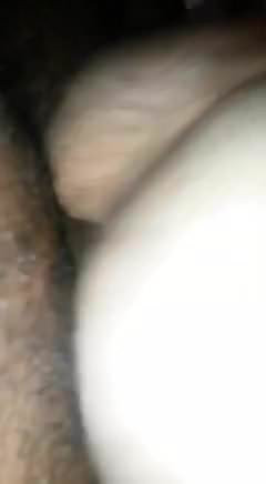 Hairy Bear