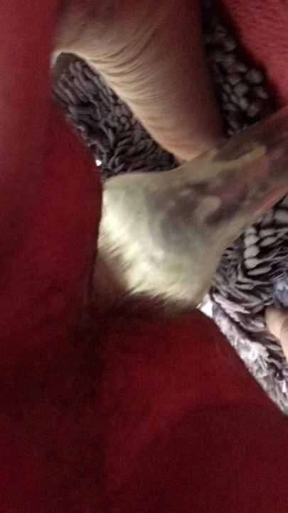 Fucking my hole