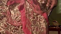 Sari satinado de mi bhabhi