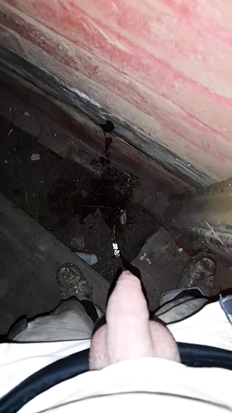 Pissing