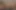 Petite Blonde Teen Femboy Sucking Dick