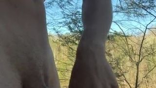 Coglione di boschi nudi