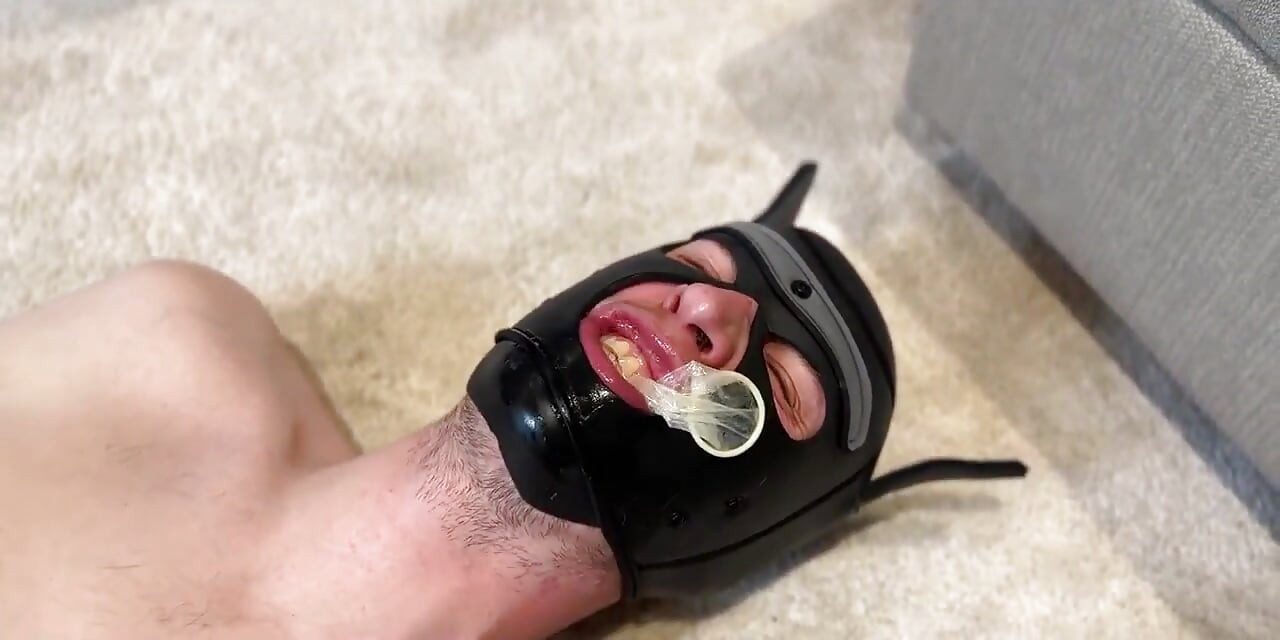 Good Boy Require