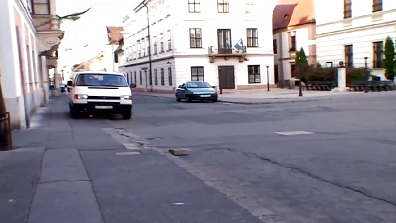 Totalna Dvostruka Zabava Vol. 4