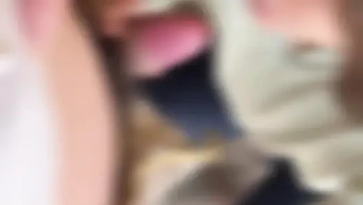 Her Fellatio Collection