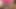 Gimme that Big Black Cock! PG Bhangs fucks Trans Livi Doll for TransHappy