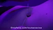 Pré-visualização do vídeo