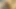 Yakın çekim kısa sevimli elbise ve diz yüksek çizmeler içinde açık havada amcık yayılıyor ve dildo sikişiyor