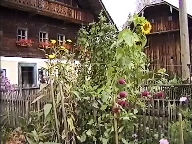 Zefix Aleuja Pater Darmian