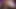VOL 10 Corrupted Desires PMV