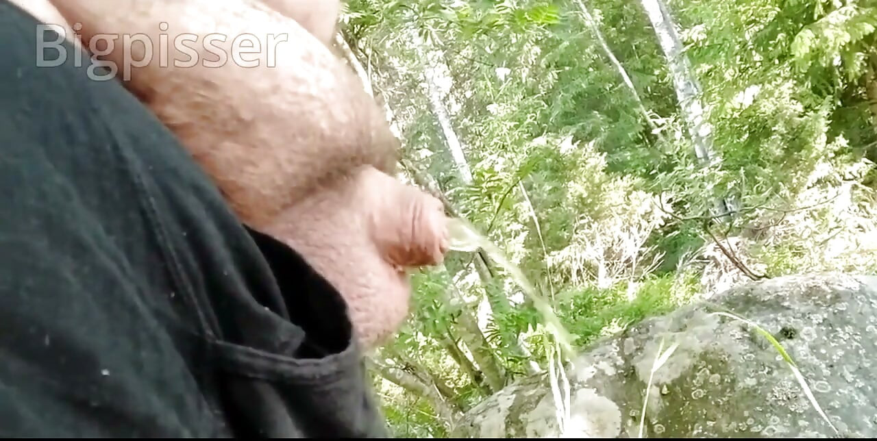 Pissing