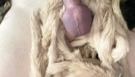 Blonde Crossdresser Transvestite Fur Bunny Woman Masturbation Jacking Off