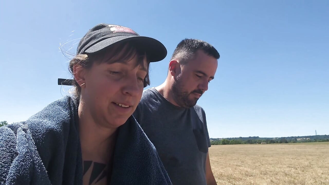 Couple fucks in the sunflower field