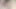 Bakış açısı minyon latin büyük kalın dildo ile sıkı amcığını genişletiyor, ayakla muamele ve aşırı genişletme