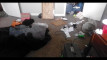Pregled videozapisa