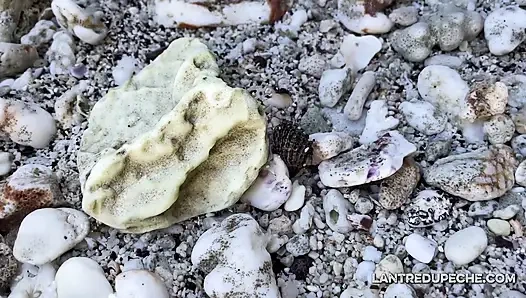 Neues vlog mit meinem stiefbrud